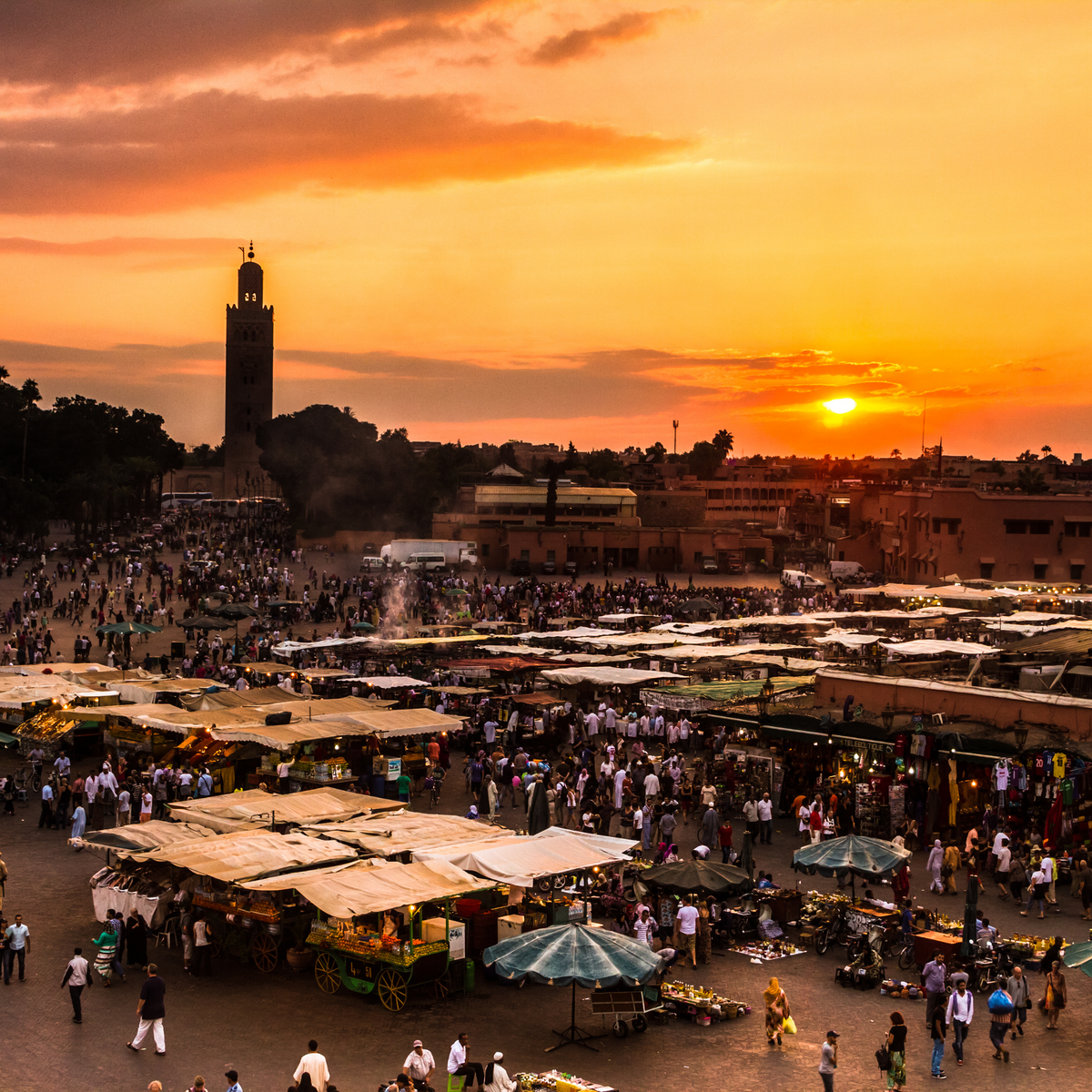 7-Day Morocco Adventure: A Custom Journey from Casablanca