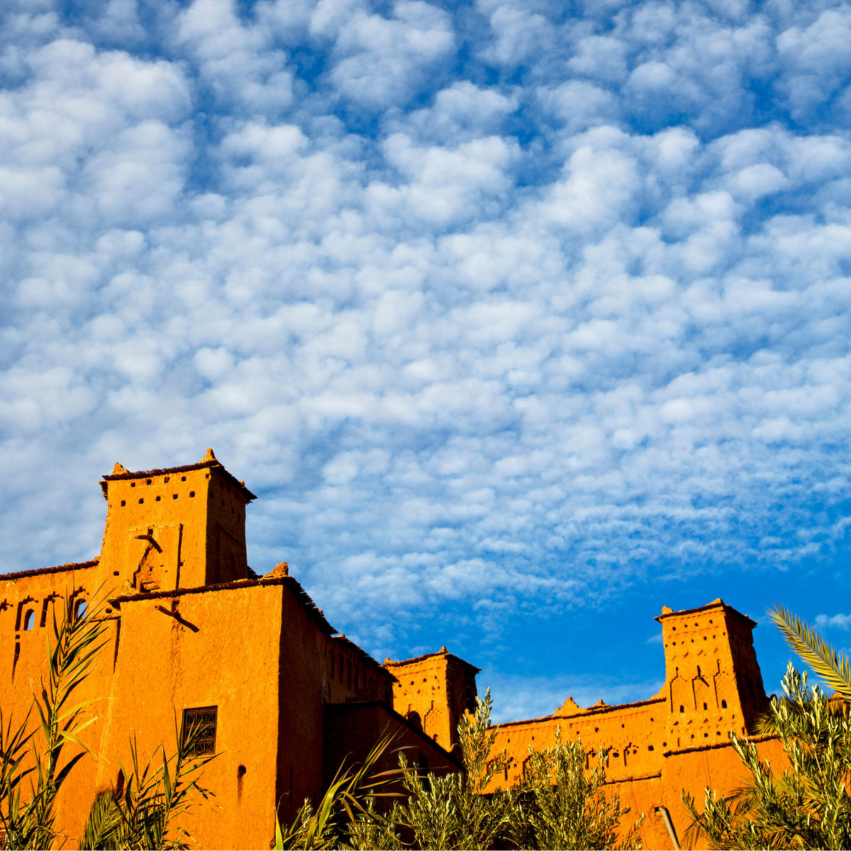 Aventure au Maroc de 11 jours : Un voyage sur mesure depuis Casablanca