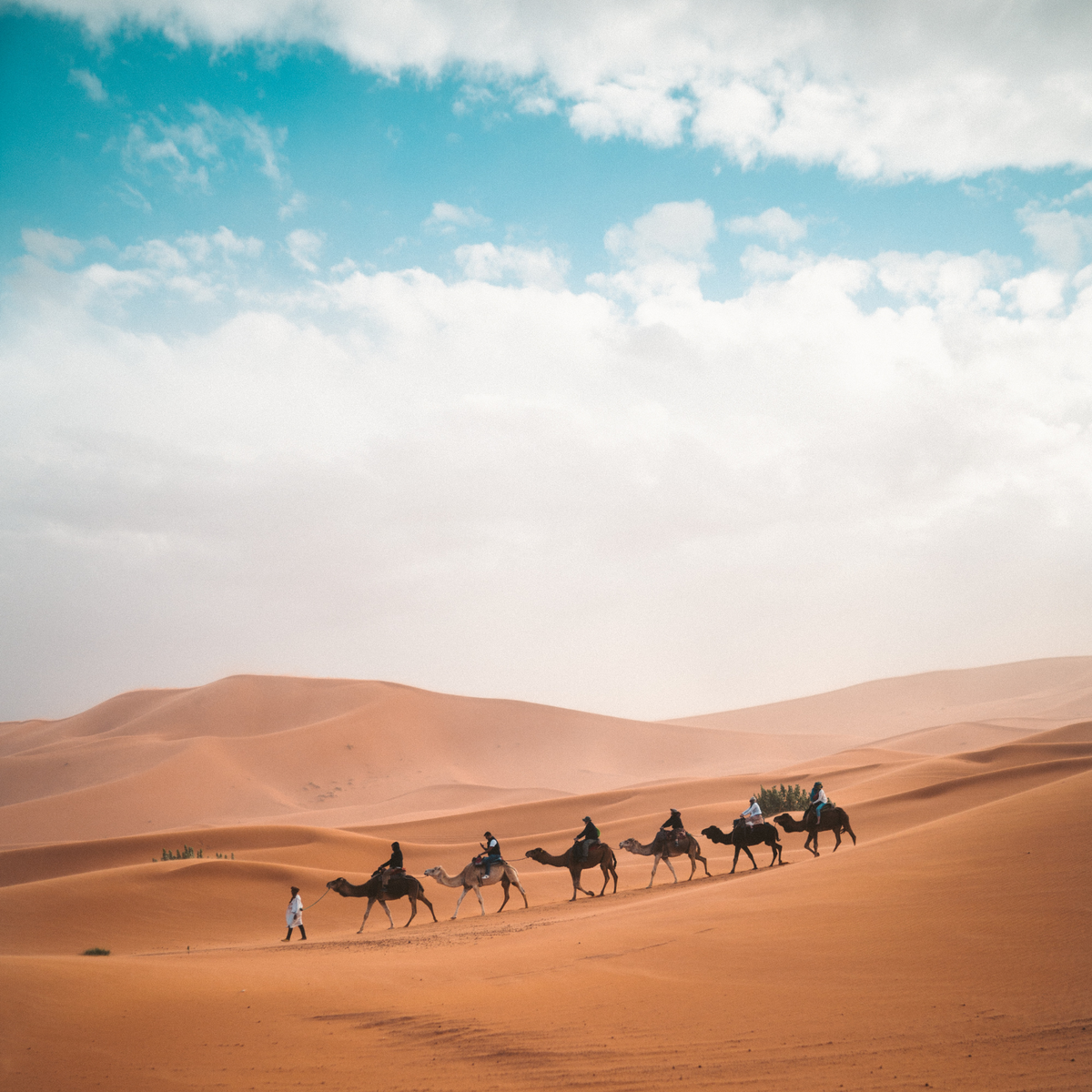 3-Day Morocco Sahara Desert Tour from Marrakech