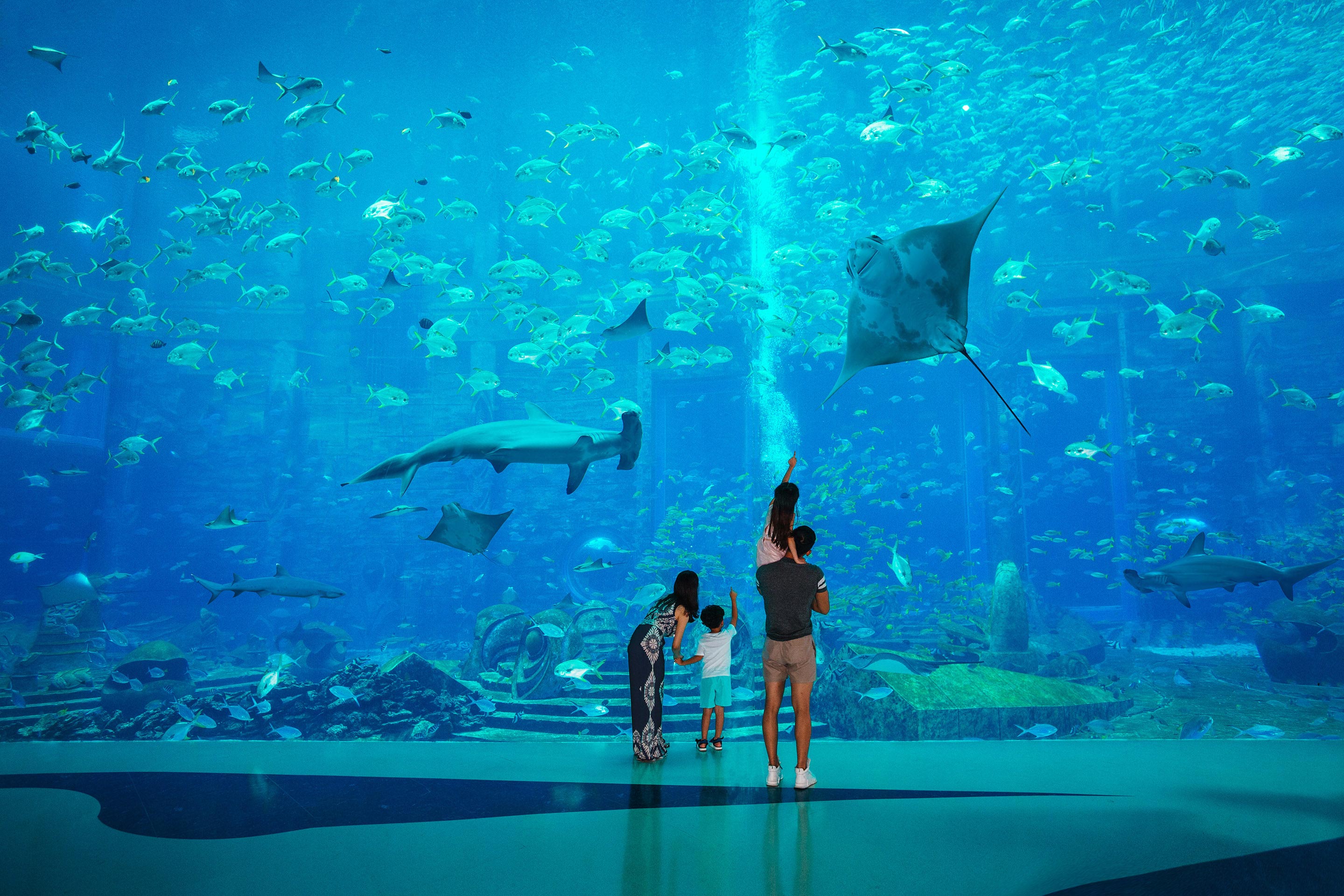 Sanya Monkey Island Park + Atlantis Aquarium Day Tour